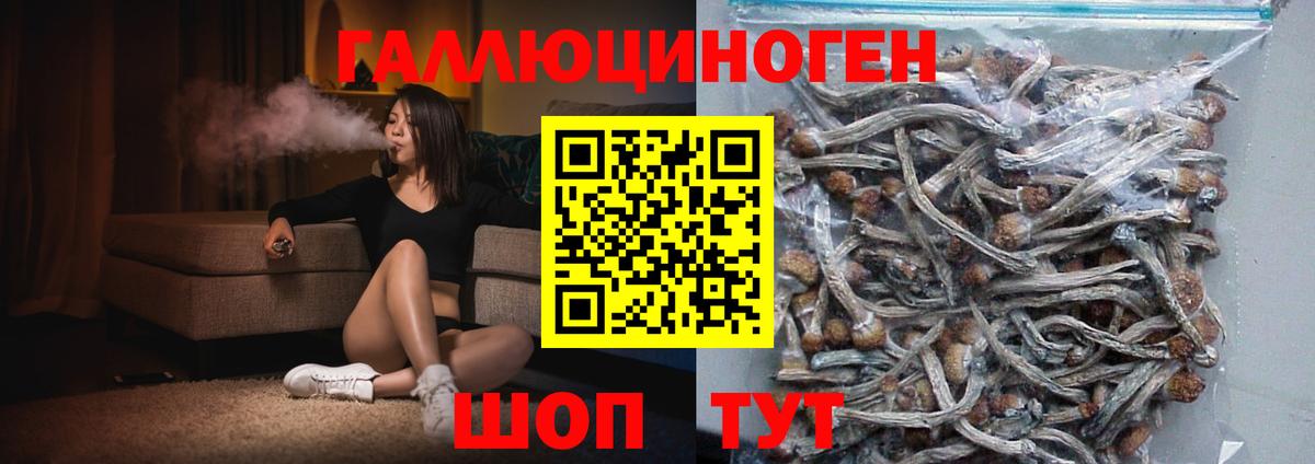 Воркута  Псилоцибиновые грибы Magic Shrooms  Псилоцибиновые грибы ЛСД  Вход с VPN 